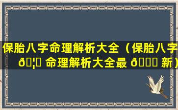 保胎八字命理解析大全（保胎八字 🦆 命理解析大全最 🐒 新）